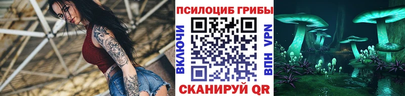 даркнет телеграм  Злынка  Галлюциногенные грибы GOLDEN TEACHER  купить закладку 