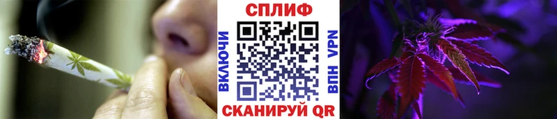 Марихуана THC 21%  MEGA маркетплейс  маркетплейс телеграм  Злынка 